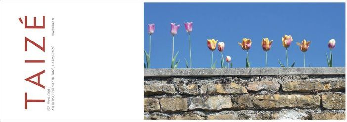 Postcard 527