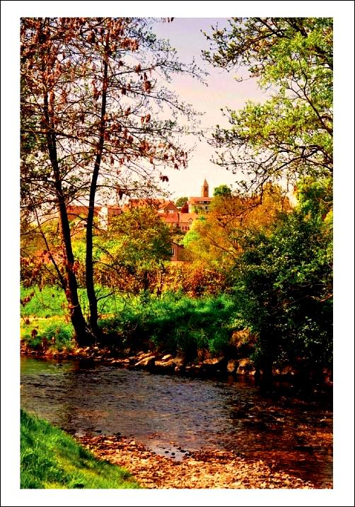 Postcard 445