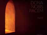 Dona nobis pacem | USB-Stick